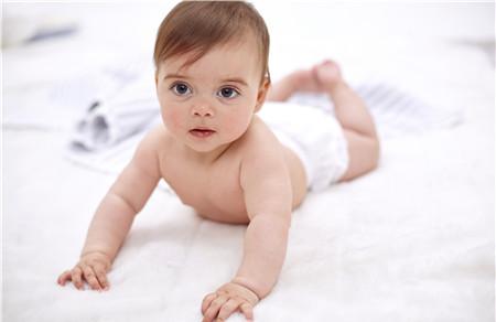 7-12个月婴儿身体早教方案